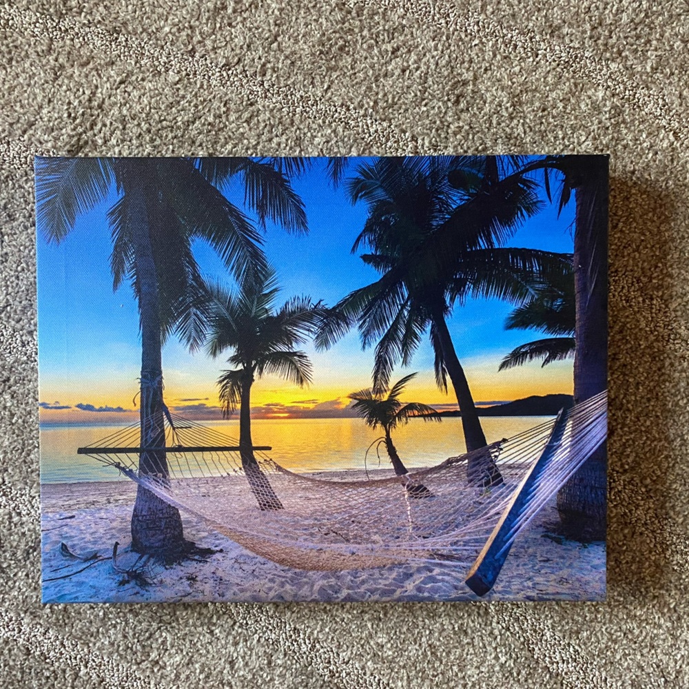 Tropical picture!🏝️